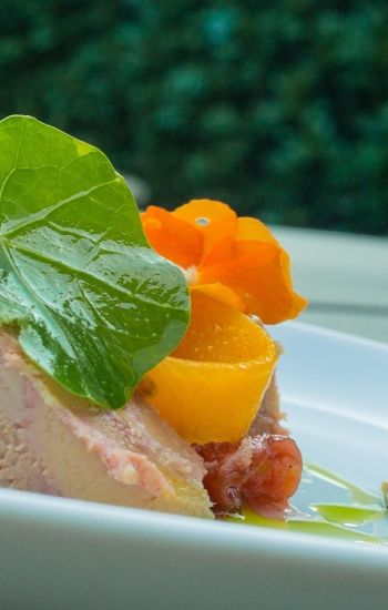 Présentation du foie gras en assiette individuelle : idées et conseils pour sublimer vos tables