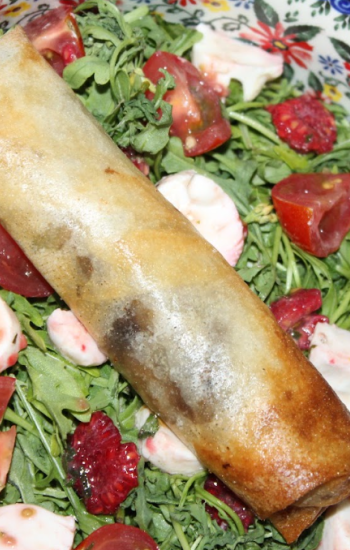 Croustillant de Canard aux herbes fraiches, salade de roquette à l’italienne