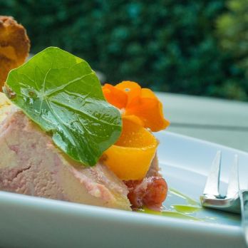 Présentation du foie gras en assiette individuelle : idées et conseils pour sublimer vos tables