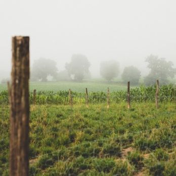 Label HVE : qu'est ce que la démarche à Haute valeur environnementale ?