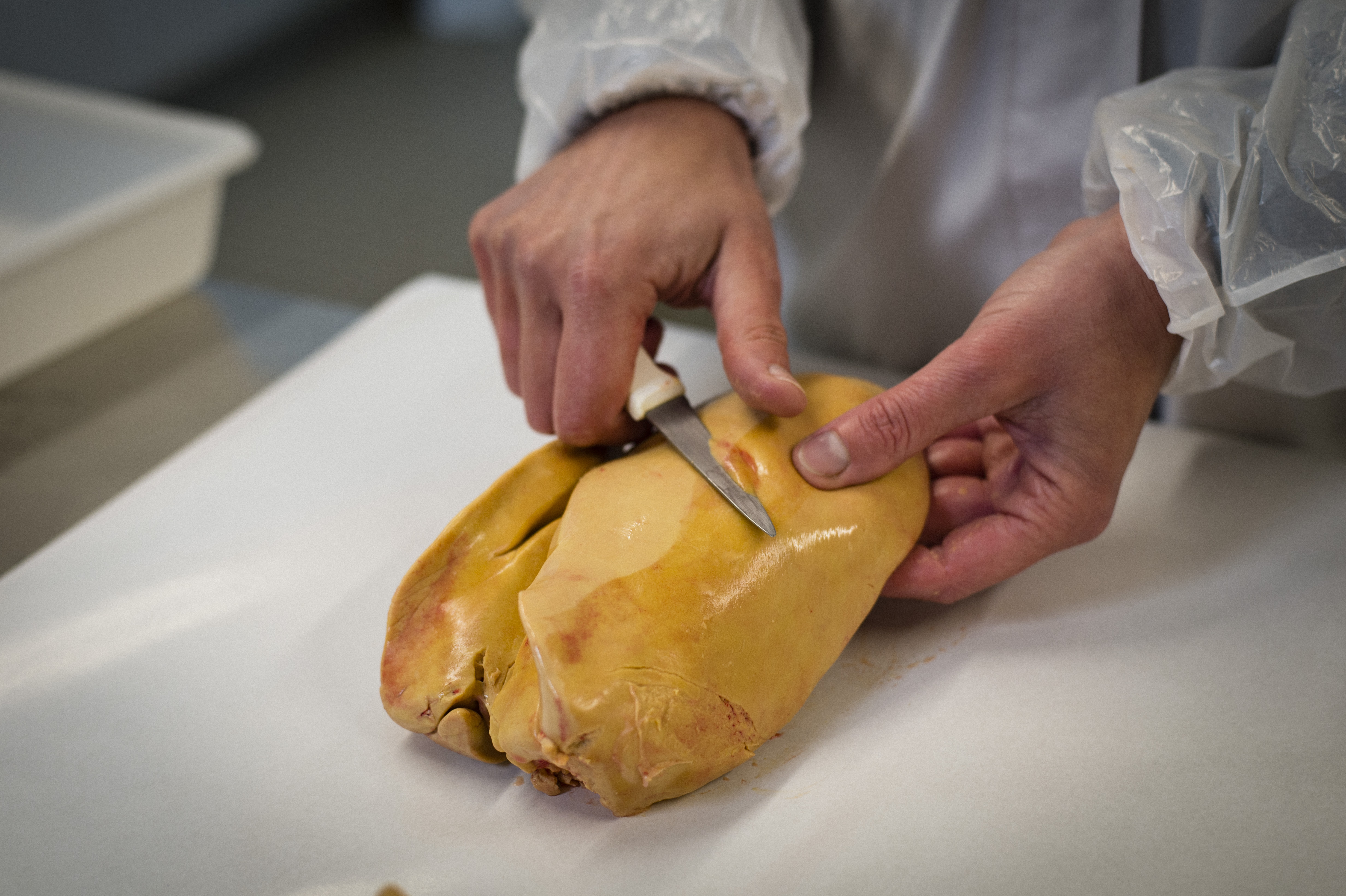 Déveiner ou dénerver les lobes de foie gras